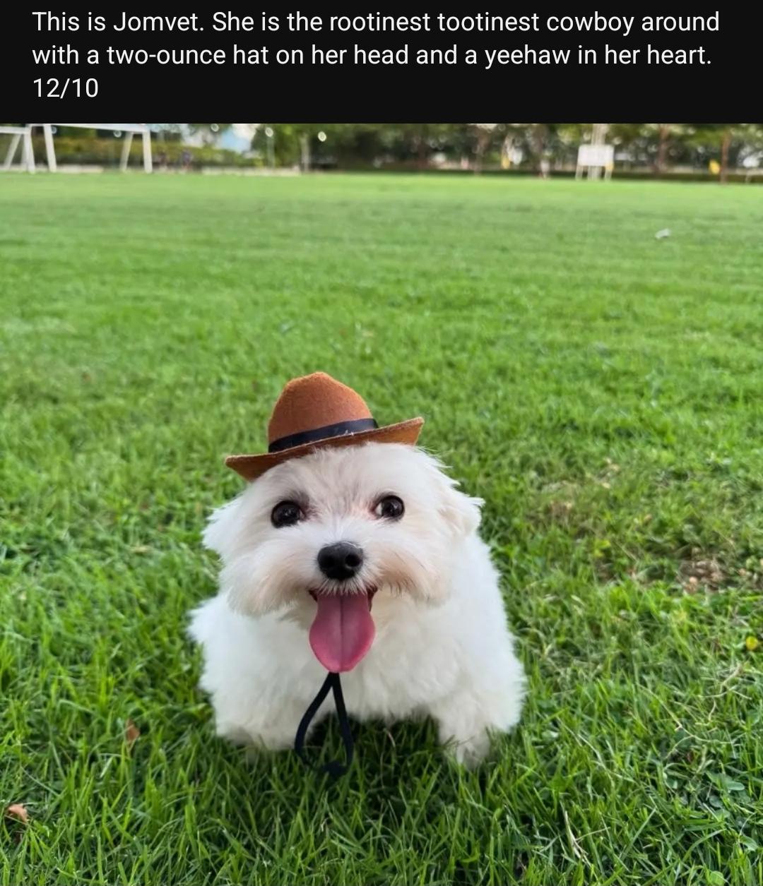 Image for Eero Test